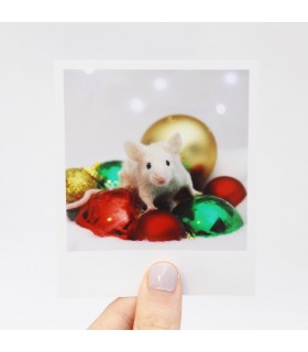 Pearl Christmas Polaroid 2