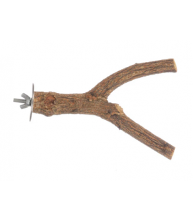 Apple tree perch small