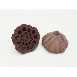 Natural lotus pod