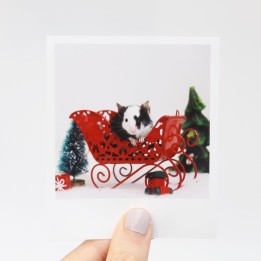 Pebble Christmas Polaroid 1