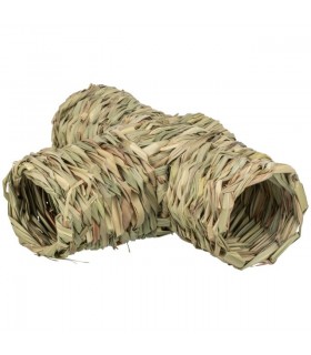 Grass T Tunnel