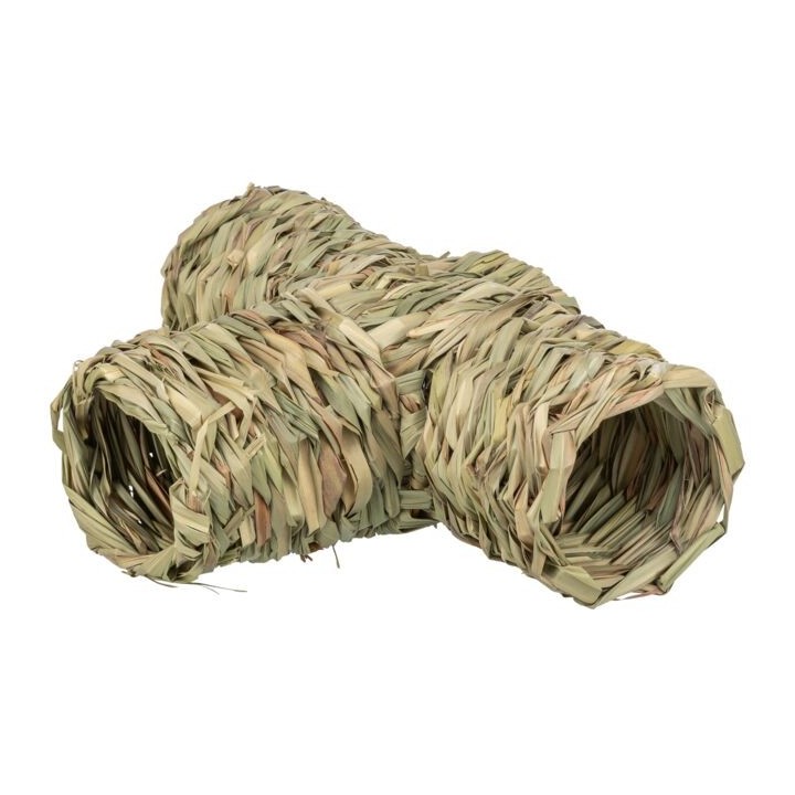 Grass T Tunnel