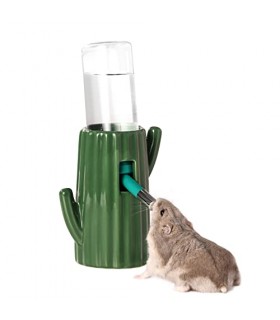 Bucatstate Cactus ceramic water stand