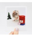 Moose the rat Christmas Polaroid