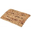 Chill 'n' chew grass mat