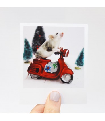 Opal the mouse Christmas Polaroid