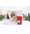 Rat Christmas Card